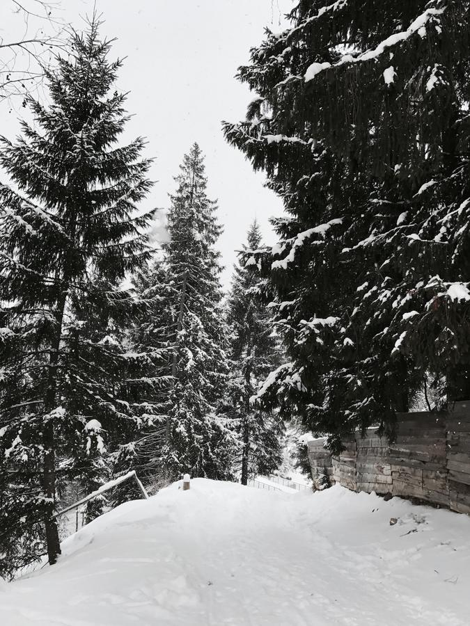 Hotel Bugel Bukovel Eksteriør bilde